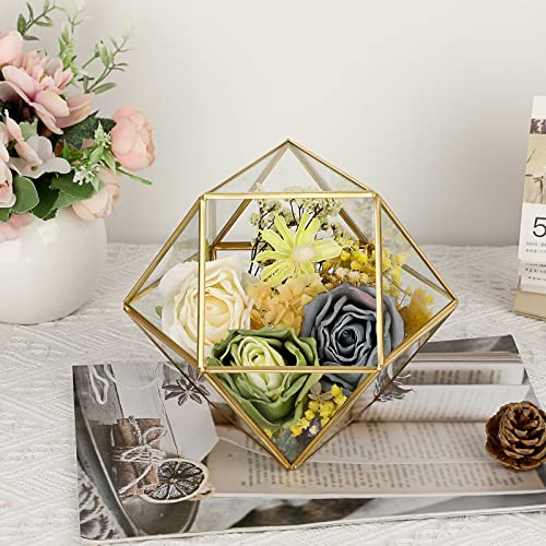 Elldoo Gold Glass Coffee Pods Holder, Large Capacity 14 Sided Glass Box For K Cups & Nespresso Capsules, Coffee Capsule Storage For Counter Coffee Bar, Kitchen, Office #TOP5