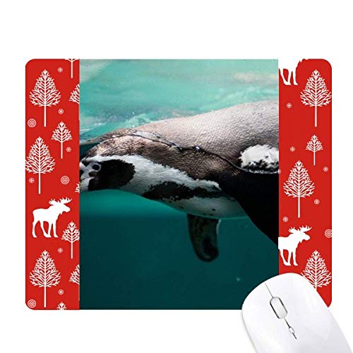 Tapis de souris Ocean pingouin bleu profond pour bureau zen