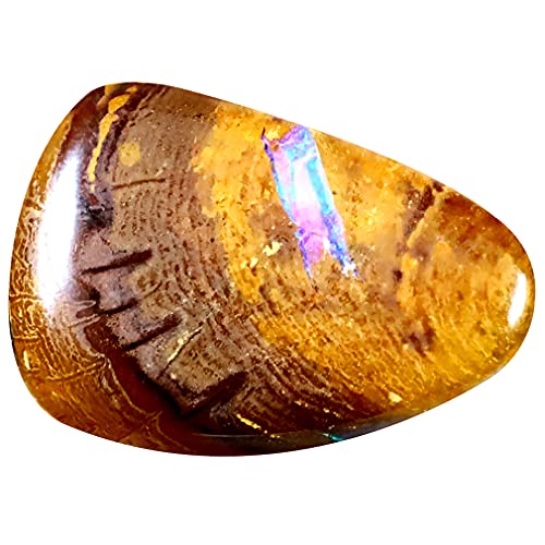 Opale Boulder naturelle Koroit 6.96 ct multicolore 20x14mm loose gemme taille libre