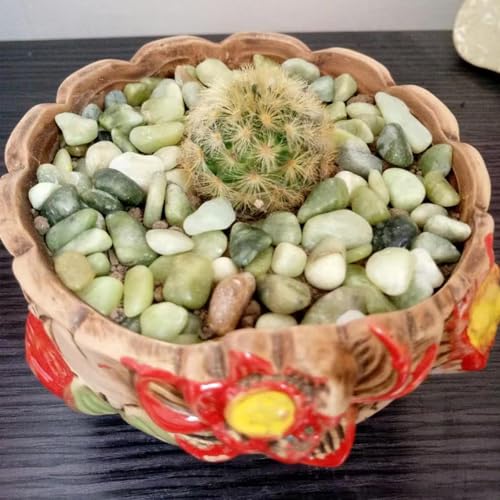 Image of 10LB Succulent Jade Pebbles for Landscaping, 3 /8 Inch Natural Decorative Polished Stones, River Rocks for Landscaping, Vase, Flowerpot Decoration, Indoor Decoration and Garden Decoration