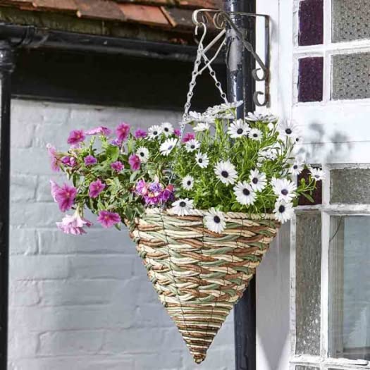 Smart Garden 14″ Trinity Hanging Cone Basket