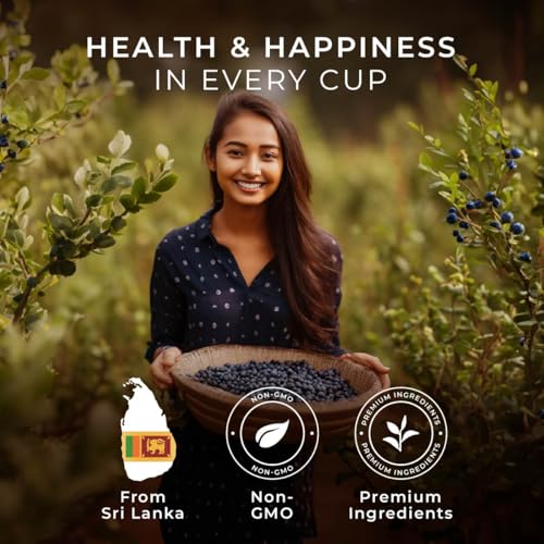 Image of Berry Paradise Tea Pod (16 Count) - 100% Natural Caffeinated Black Tea