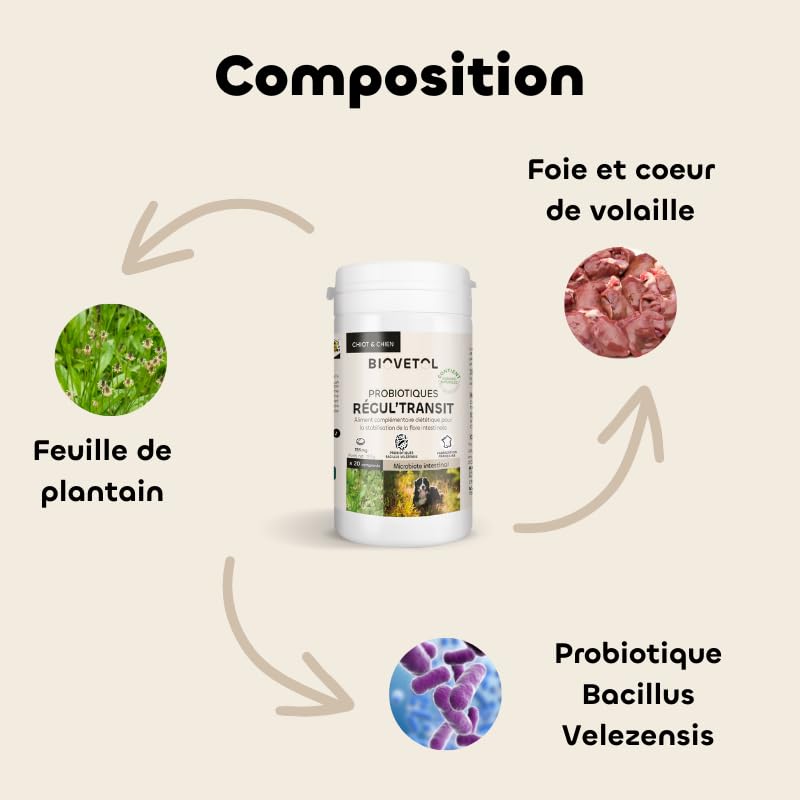 Biovetol - Probiótico - Comprimidos Regul'Transit - Complemento alimenticio especial de tránsito (perro, lote de 3)