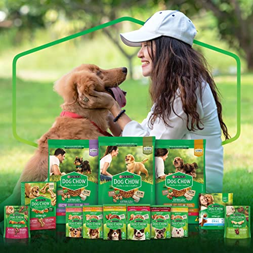 Biscoito DOG CHOW Cães Adultos Minis e Pequenos Frango 500g