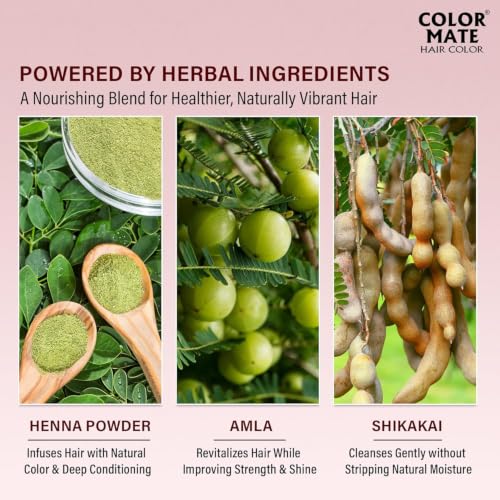 Image of Color Mate Natural Henna Hair Color Powder Burgundy | No Ammonia Hair Colour | Long Lasting Natural Color | Soft, Smooth & Shiny Hair | 8 Minute Application | 15g | Pack of 10