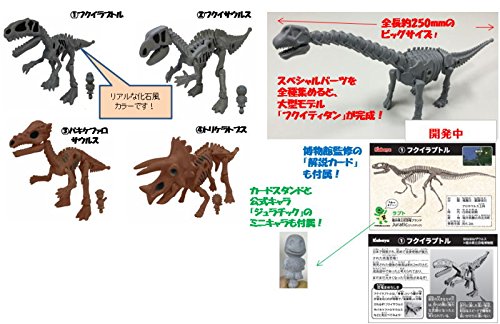 Amazon | ほねほねザウルス × 福井県立恐竜博物館 【全4種セット
