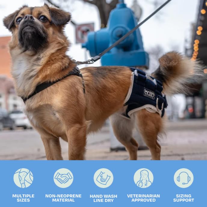 Harnais De Soutien Pour Chien - Aide à La Marche Et Récupération - Taille Ajustable - Confortable Et Respirant