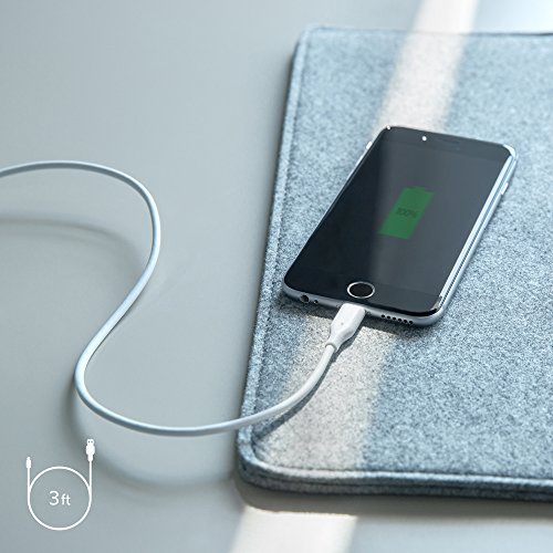Image of [3 Pack: 3ft /6ft /10ft] Anker PowerLine Lightning Apple MFi Certified - One of The World's Fastest, Most Durable Lightning Cables for iPhone 7 /7 Plus 6 /6s Plus 5s /5, iPad mini /4 /3 /2, iPad Pro Air 2