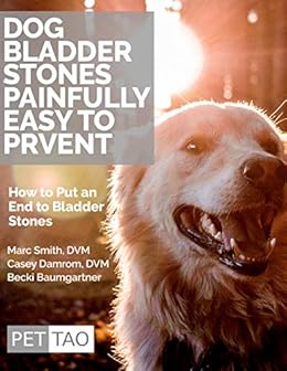 preventing bladder stones in dogs