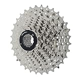 🚲Design resistente in acciaio pieno.9 velocità con cassetta rapporti di trasmissione B.