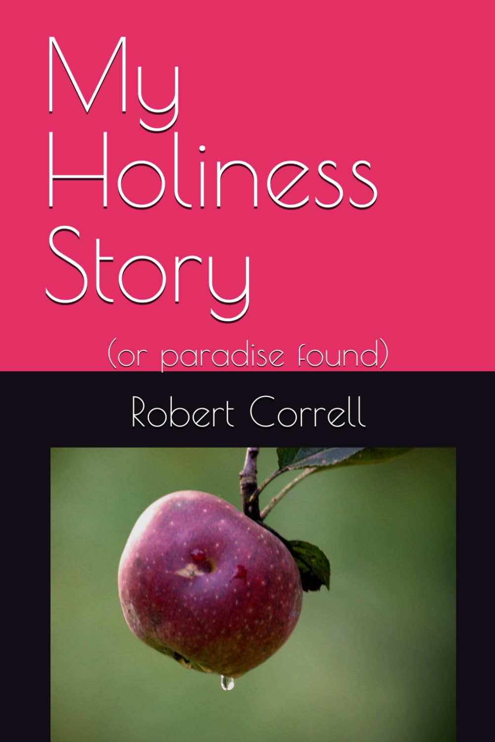 My Holiness Story: (or paradise found)