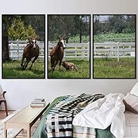 3 Piece Framed Canvas Wall Art A Friend with Me Farmhouse Fun Horse for Living Room Bedroom - 16