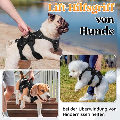 rabbitgoo Ausbruchsicheres Hundegeschirr Kleine Hunde mit Griff, Anti Zug Sicherheitsgeschirr Hund Atmungsaktiv, Verstellbare Brustgeschirr, Gepolstertem Hundeweste, Panikgeschirr, Schwarz S