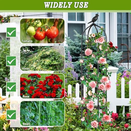 Soportes para tomates trepadores y frutas en huertos verticales 5