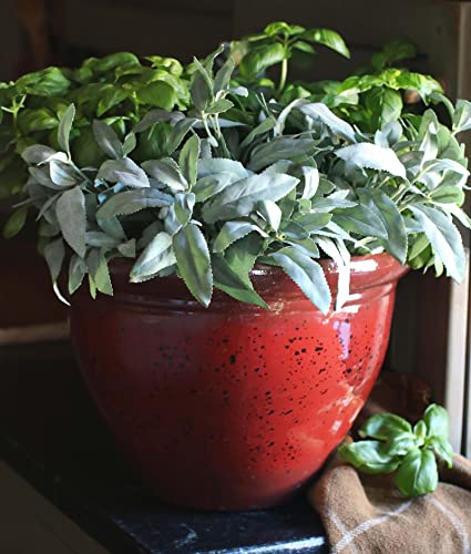 The Hc Companies 12 Inch Pizzazz Decorative Round Planter - Lightweight Premium Resin Plant Pot With A Ceramic Look For Indoor Outdoor Use, Warm Red #TOP1