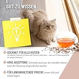 ReaVET Darmöl für Katzen 50ml I Verdauung, Darmflora I Sekundierend bei Verstopfung und Verdauungsproblemen, kein Remedium und Laxans