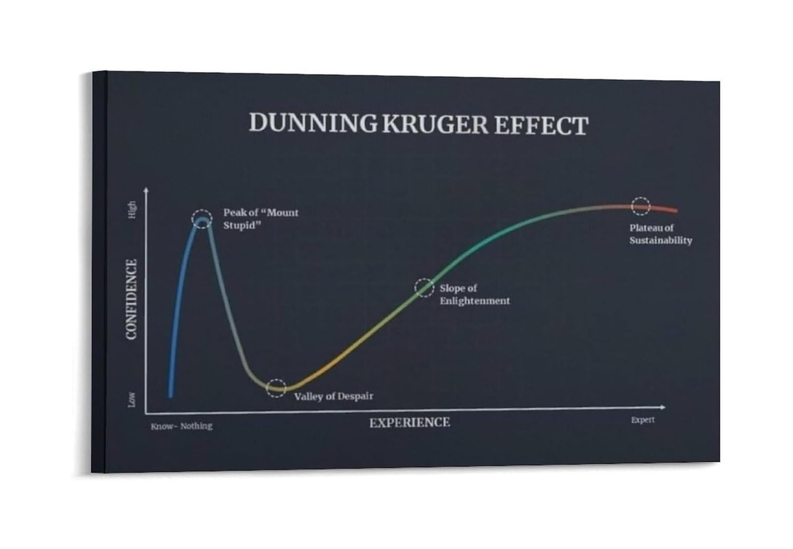 FNYUVNFAF Cognitive Bias Wall Decor Dunning Kruger Effect Poster Chart for Office Study Room Psychology Classroom Decor Framed,16X24inch(40X60cm)