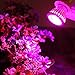 Produktbild Zhen+ 1 Stück mit 10pc E27 LED Pflanzenlampe Pflanzenleuchte Pflanzen Lampen Grow Wachsen Lichter Pflanzenlicht Leuchtmittel Wachstumslampe Blumenlampe für Gewächshaus Blumen Gemüse Garten