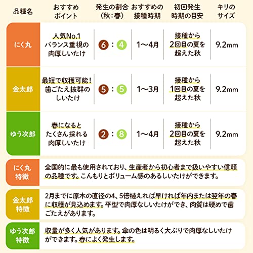 森のきのこ倶楽部 しいたけ種駒 森290号 にく丸 (400駒) きのこ 栽培キット (原木しいたけ/説明書付き) 食育 栽培 4枚目