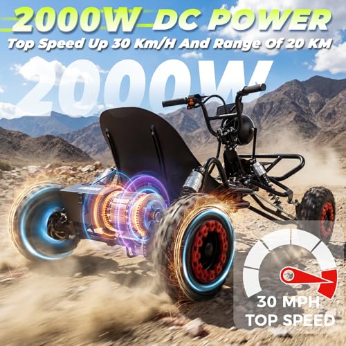 2000W 48V Electric Go Kart for Adults