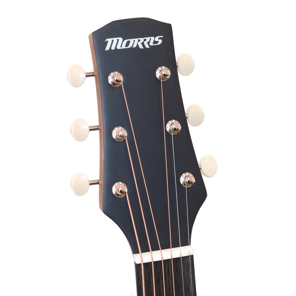 Amazon | MORRIS Y-023 VB アコースティックギター | スチール弦