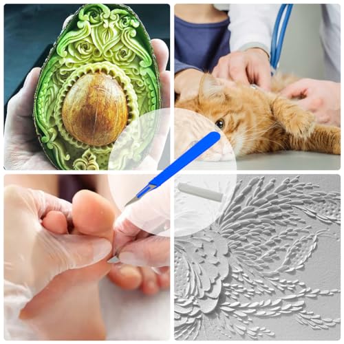 Einweg Kunststoff Chirurgische Skalpellmesser, Einweg Skalpell Klinge, Sterilisierte Einweg-Skalpelle, Einmalskalpelle Figur 11 mit Schutzkappe, Einzeln Steril Verpackt (Blau,10 Pack)