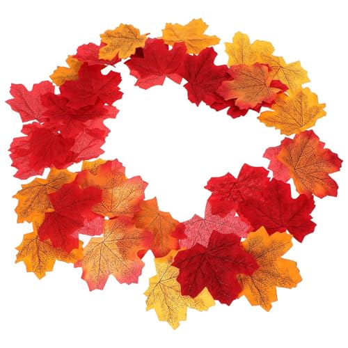 SKISUNO lH[v[t 200 VN tFCNH̗t H̗tfR[V Ӎ e[u p[eB[p ėp\ F