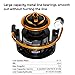 Summer and Centron Spinning Reels, 12 +1 BB Light Weight, Ultra Smooth Powerful, Size 3000 is Perfect for Ultralight/Summer Fishing by QINGLER