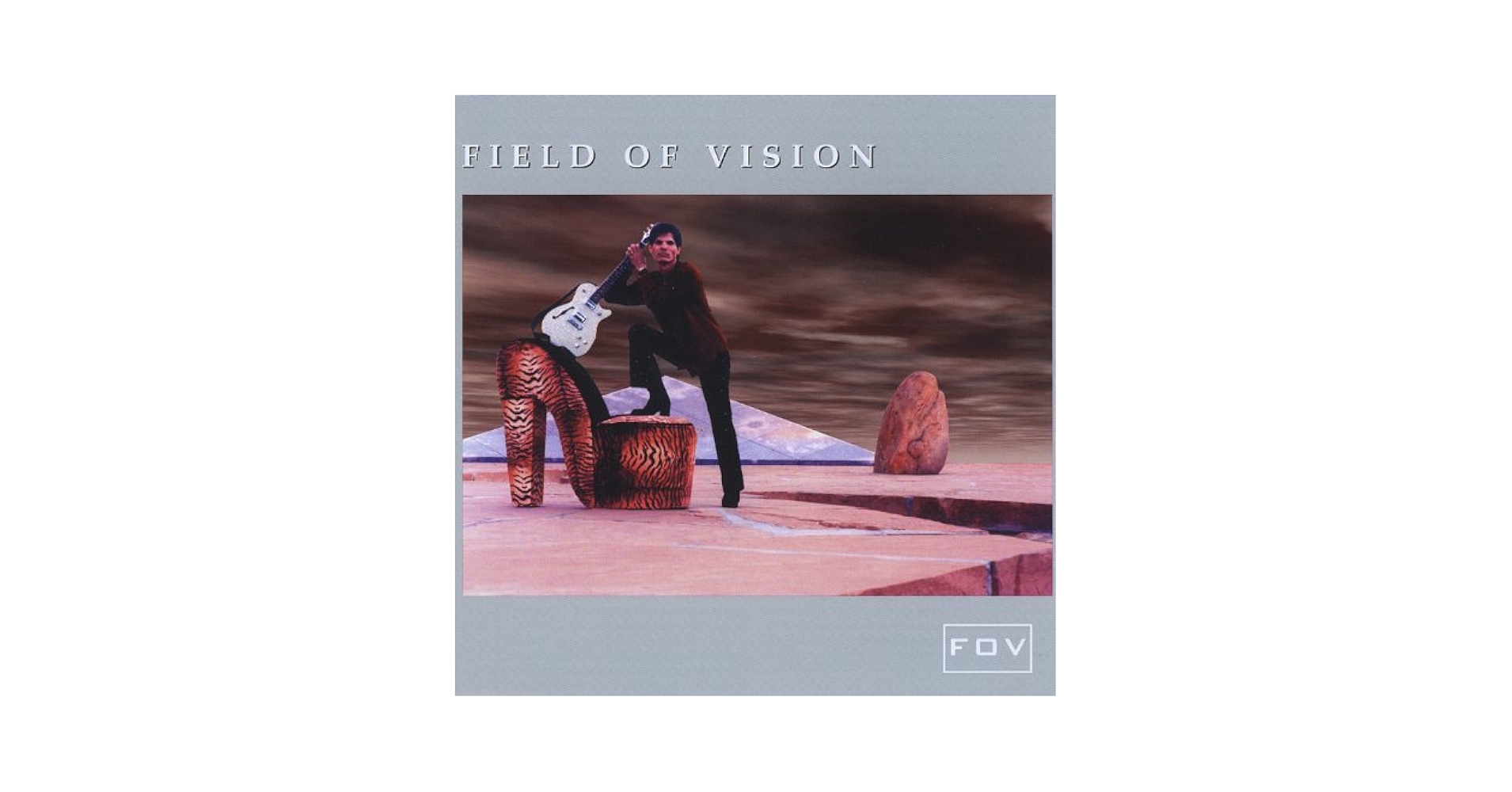 Amazon.com: Field of Vision: CDs & Vinyl