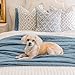 EVERGRACE x Kinsey Walsh Cross Stitch Pre-Washed Cotton Quilt Bedding Set King Size, Oversized 3 Pieces Lightweight Bedspread Coverlet for All Season, with 2 Matching Shams, Dusty Blue, 108