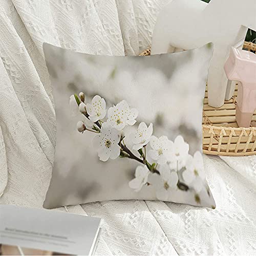 Wsikafxn \ȃVNtBACNWFbgv^[pVNtBy[p[A\ȃVNvX`bNA36