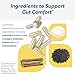 Researched Nutritionals RenewGut - GI Complex to Support Gut Lining, Healthy Histamine Levels & Digestive Health - Collagen Peptides, Zinc Carnosine, DGL & N Acetyl Glucosamine (120 Capsules)