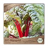 Samenliebe BIO Mangold Samen Feurio Stielmangold Krautstiel rot 100 Samen samenfestes Gemüse Saatgut für Gewächshaus Freiland und Balkon BIO Gemüsesamen