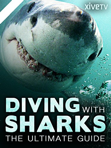Diving With Sharks: The Ultimate Guide #TOP26