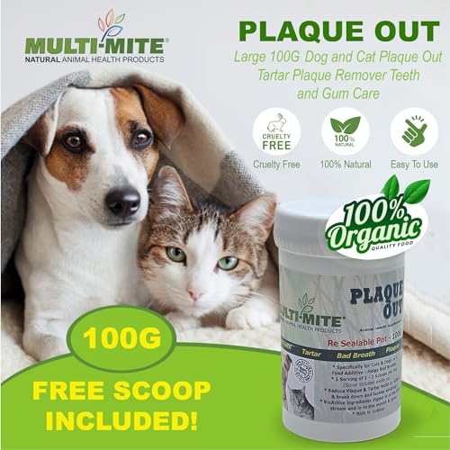 PLAQUE OUT 100g Pot, Plaque Off Remover, 100% Natural and Organic Seaweed Powder for Dogs & Cats, Dog Teeth Cleaning - Image 2