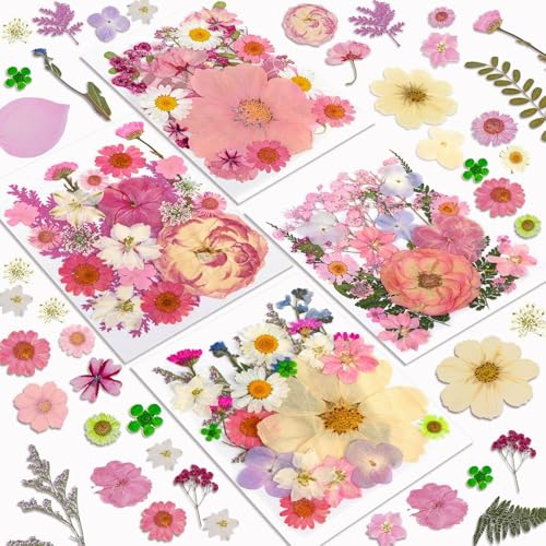 Image of Dried Flowers, Resiners 100Pcs Pressed Flowers for Craft Baby Pink Real Natural Dried Flowers Dry Leaves Kit for DIY Making Crafts Resin Soap Candle Scrapbook Supplies Card Making Jewelry