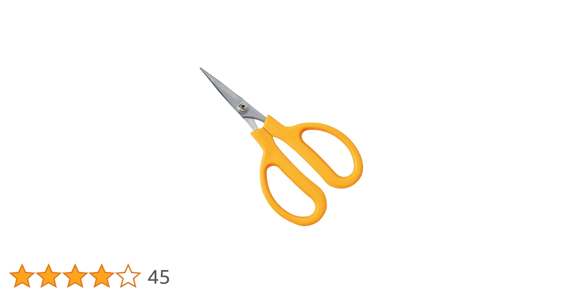 51oSBAKN1TL.jpg_BO30,255,255,