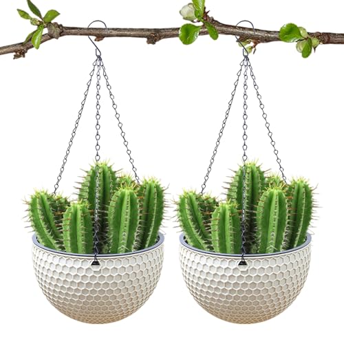 Maceta colgante | Cestas de riego para flores | 2 cestas de resina con agujeros de drenaje, macetas multifuncionales de autorriego fuerte para ventana, techo, jardín, pared