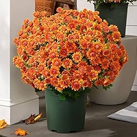 Chrysanthèmes Artificiels Extérieur - Résistants Aux UV, Imperméables, Avec Feuilles D'eucalyptus, Hauteur 32 Cm, Pour Jardin, Terrasse, Cimetière