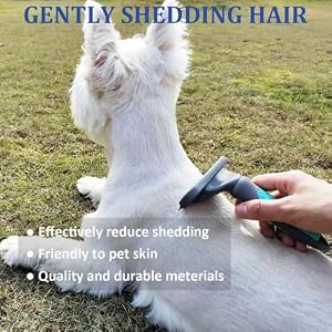 Dog Brush for Shedding Short Haired Dogs, Undercoat Deshedding Tool Set, Gently and Effectively Remove Loose Hair and Reduce Shedding, Includes a Brush and a Double-sided Silicone Glove Dog Brush for Shedding Short Haired Dogs, Undercoat Deshedding Tool Set, Gently and Effectively Remove Loose Hair and Reduce Shedding, Includes a Brush and a Double-sided Silicone Glove
