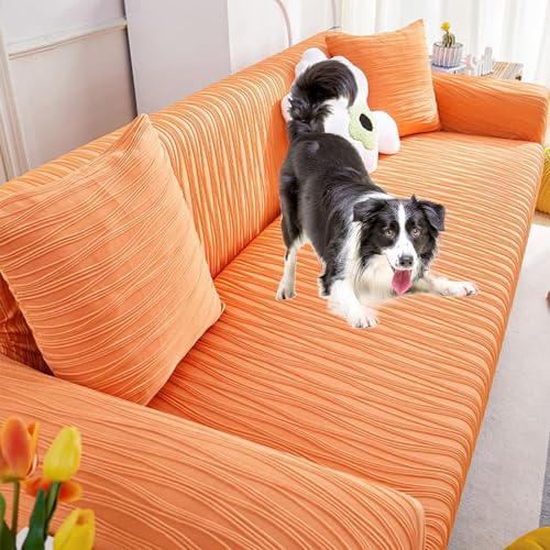 Funda de sofá elástica lavable para proteger de pelos de mascotas 2