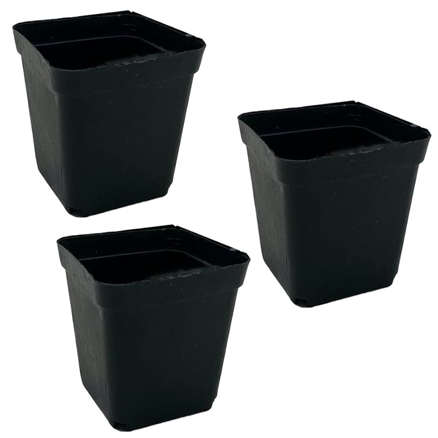 Amazon.co.jp: TKY 植栽ポット 育苗ポット ポット プランター