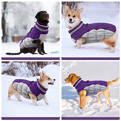 Kuoser Hundejacke Hundemantel für Kleine Hunde Winterweste, Wasserdicht Hunde Wintermantel Jacke Winter Hunde Mantel Mit Geschirr Warme Winterjacke Hundepullover Haustier Skifahren Kostüm Lila, S