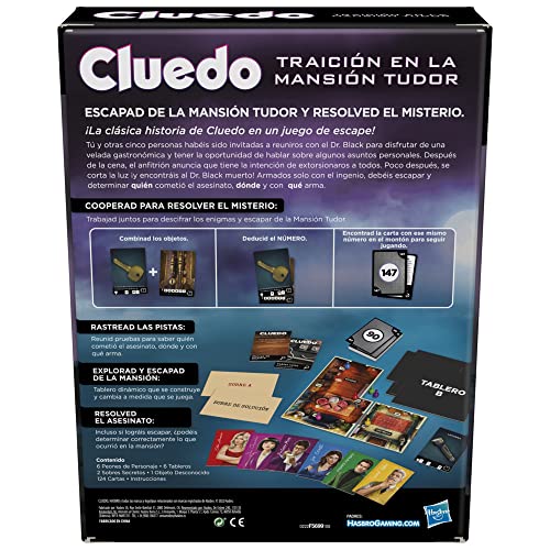 Cluedo Trahison à Tudor Mansion - vue 7
