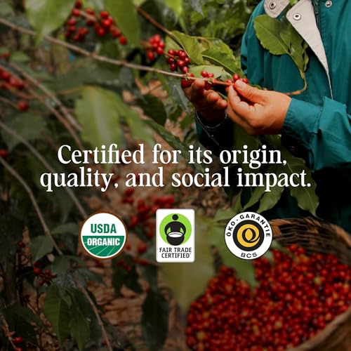 Kishe Organic Coffee Beans Arabica Blend 12 Ounce miniatura 5