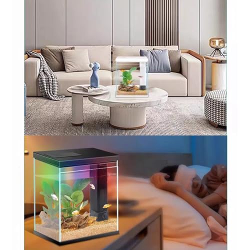 Image of Glass Betta Aquarium Starter Kits, 2 Gallon Fish Tank with Heater Filter and Light.