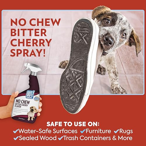 Image of OUT! PetCare No Chew Spray for Dogs, Dog Deterrent, Bitter Cherry, 32oz | Bitter Spray for Dogs, Dog Chew Deterrent, Anti Chew Training, Discourages Licking, Non-Staining, Behavior Correction