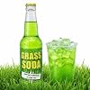 Rocket Fizz Grass Soda Flavor | Cane Sugar | Craft Soda Pop Drinks | 12 oz in Glass Bottle (1 Bottle)