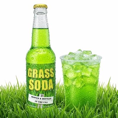 Rocket Fizz Grass Soda Flavor | Cane Sugar | Craft Soda Pop Drinks | 12 oz in Glass Bottle (1 Bottle)