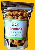 Karakoram Dry Fruits Pakistan dried Apricot (HIGH QUILTY IN LOEST PRICE) 350 GRAM